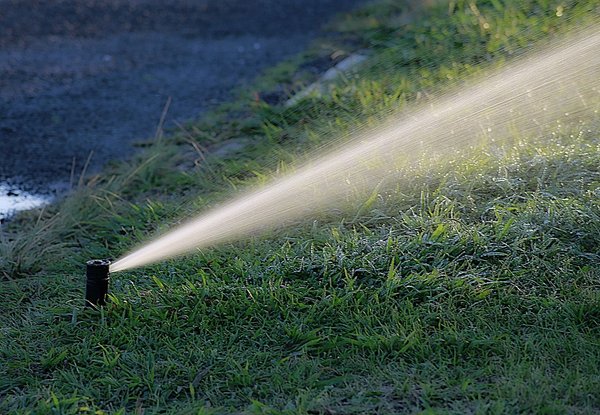 Quels sont les avantages des différents types de systèmes d'arrosage pour les jardins ?