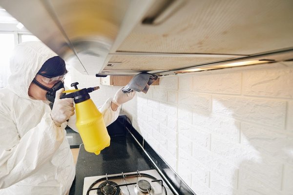 Comment choisir le meilleur service de nettoyage de hotte de cuisine ?